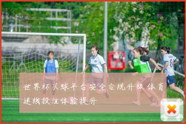 世界杯买球平台安全合规升级 体育迷线投注体验提升